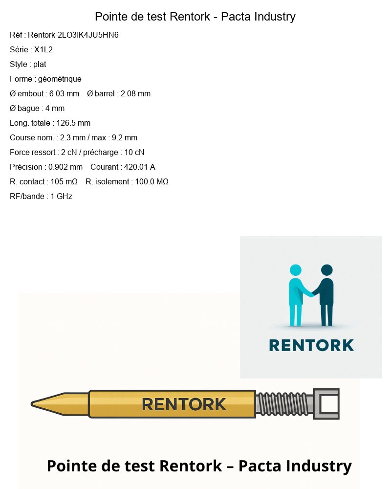 pointes-de-test-Rentork-2LO3IK4JU5HN6